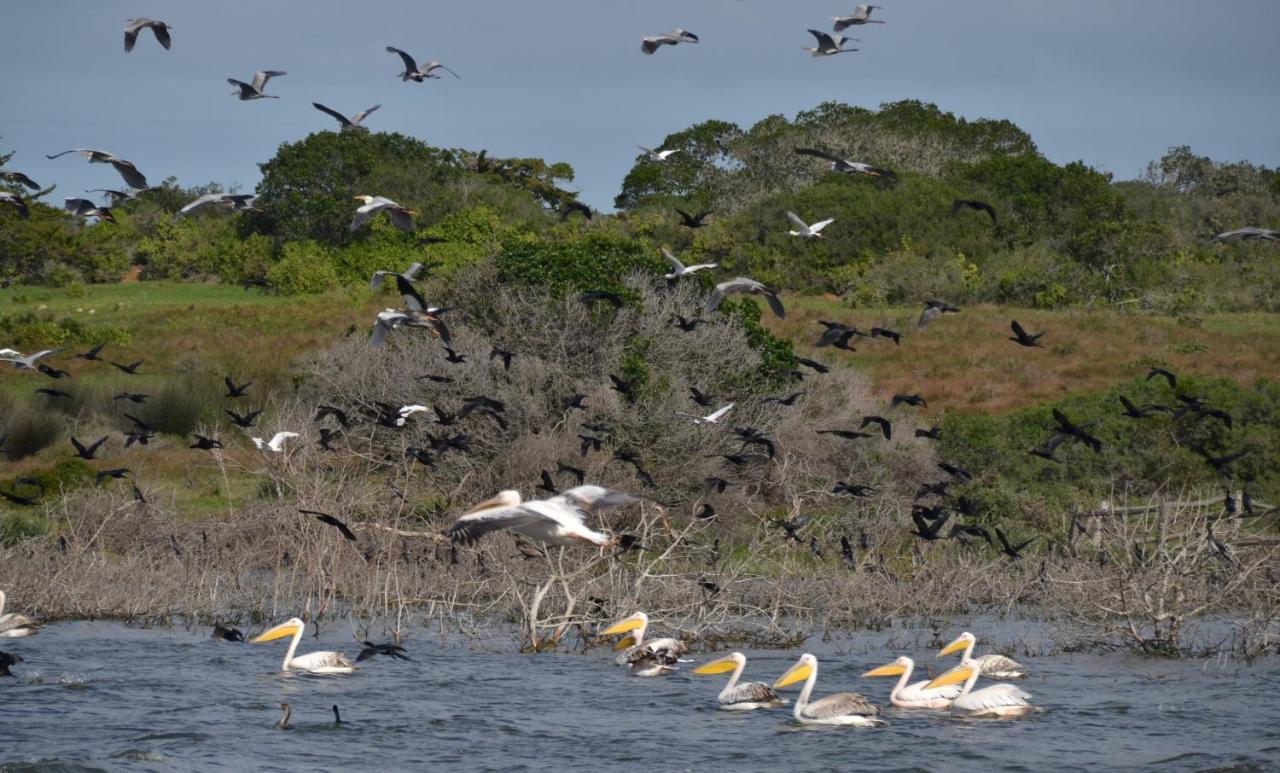 De Hoop Collection - Equipped Cottages De Hoop Nature Reserve Buitenkant foto